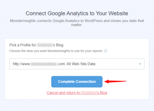 Connect Monsterinsights to Google Analytics